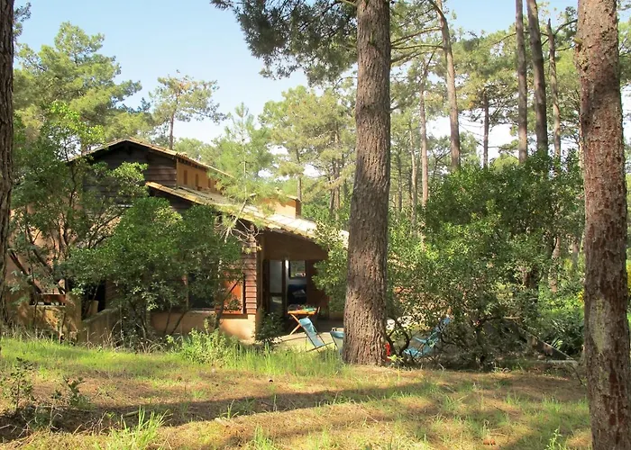 Les Maisons De La Foret By Interhome Lacanau